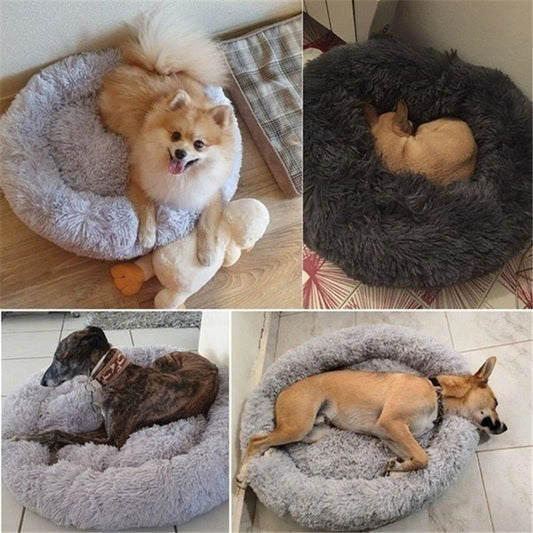 DoggyPouf™- Coussin doux pour chien - Des Folies pour Toutou
